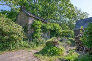 Maisons de vacances Charmante maison dans un ecrin de verdure a Rochefort en Terre : photos des chambres