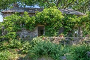 Maisons de vacances Charmante maison dans un ecrin de verdure a Rochefort en Terre : photos des chambres