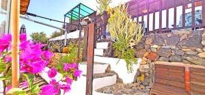 CASA LA ISLA - Tarajalejo - GlasfaserInternet - Garten