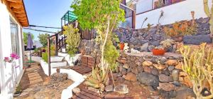 CASA LA ISLA - Tarajalejo - GlasfaserInternet - Garten