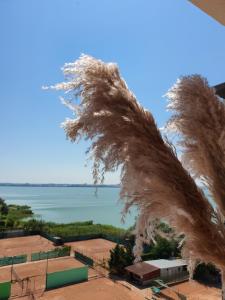 Coral Residence -Mamaia Nord