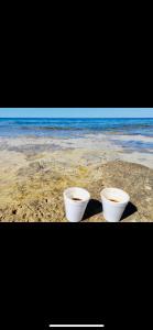 Villa Ines - depandance