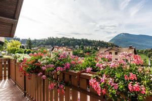 Appartamento Cima Brenta