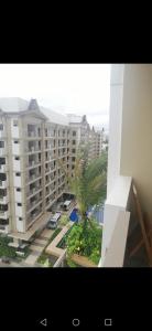 Joeys Place Calathea DMCI