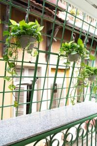 Holly HideAway-Cozy Nest -Balcony- City Center