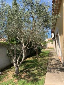 Villas Villa proche cap d’agde : photos des chambres