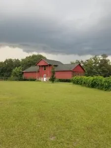 Hawks Nest Loft - Saint Marks