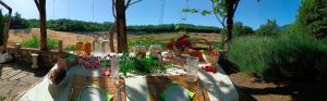 CaNovae - Tuscany Farmhouse