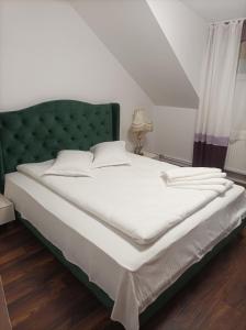 Vila Alpina Olănești