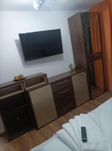 Vila Alpina Olănești