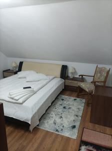 Vila Alpina Olănești