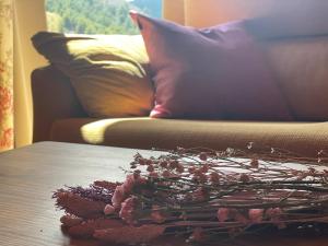 El mirador de María