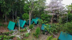 Corcovado Jungle Hostel