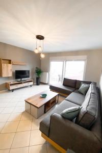 Bellevue Homes
