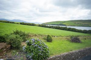 Half Door House ROOM ONLY