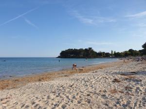 Maisons de vacances Maison de vacances a Sarzeau a 5 min de la plage a pieds : photos des chambres