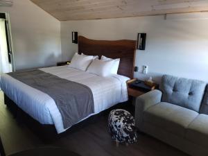 Adventure the Bruce Inn - Recently Renovated With Outdoor Hot Tub