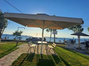 Dimitras Family Apartments 3