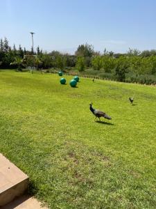 Villa atlas farm strictement pour les familles
