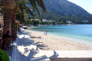 Apartments with a parking space Gradac Makarska  6724