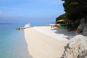 Apartment Baska Voda 10027d 