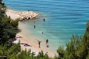 Apartments by the sea Podgora, Makarska - 13216