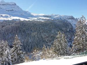 Charmant appartement rénové avec balcon au centre de Flaine - FR-1-425-191