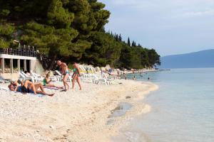 Apartments with a parking space Gradac, Makarska - 16263