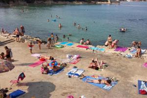 Apartments by the sea Vir - Kozjak, Vir - 16734