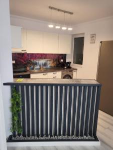 Dacrilo Apartments Cluj-Napoca 11