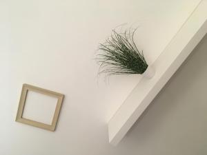 Appartements Le Chateau du Spesbourg : photos des chambres