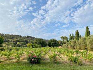 B&B / Chambres d'hotes Bastide de Gueissard : photos des chambres