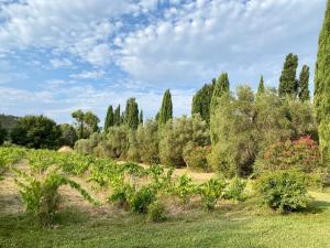 B&B / Chambres d'hotes Bastide de Gueissard : photos des chambres