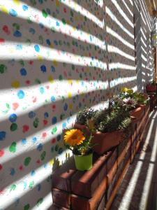 Hostal Siete Colores