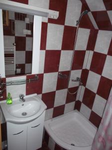 Double Room with Private Bathroom room in Pensiunea Sandra