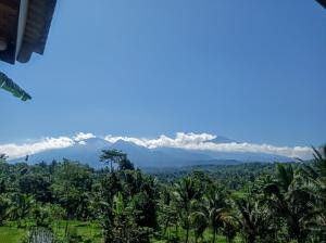 Tetebatu Mountain View Homestay