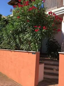 Borgo Saraceno Mirto 5 - San Pasquale