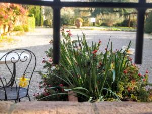 LAia Country Holidays