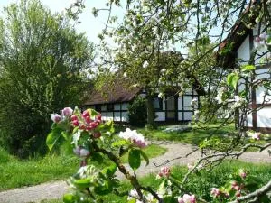 Ferienhaus Deichgraf 86 im Feriend - Bachenbrock