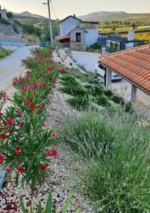 Brand new Villa Cara d oro, Vrana