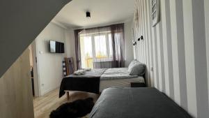 Apartamenty Port Royal Dębina