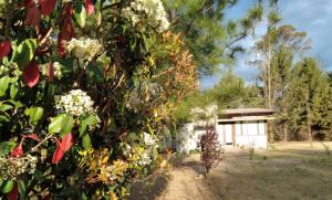 Cabañas Tierra Kamiare 2