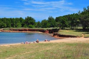 Apartments by the sea Vir - Lozice, Vir - 18576