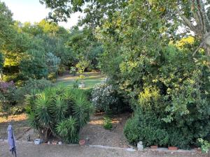 Maisons de vacances Domaine Saint Martin le grand : photos des chambres