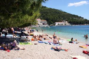 Apartments by the sea Drvenik Donja vala, Makarska - 19006