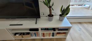 Appartements Superbe appartement Arcachon : photos des chambres