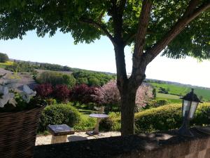 Maisons de vacances Le Maine Menot : photos des chambres