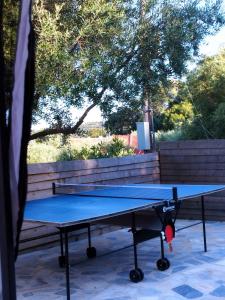 Country House DAFNI with his pets