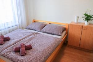 Pohodlný apartmán s ptačí zahradou