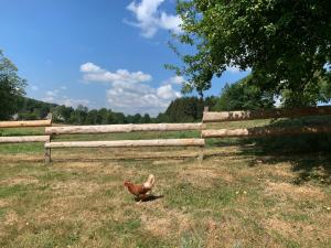 Maisons de vacances L'oriere des Bois : photos des chambres